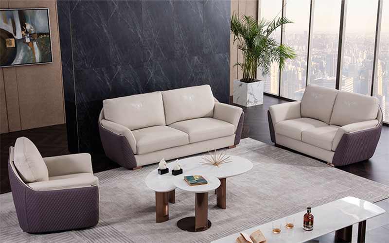 Shushe Living Room Leather Lightweight and Luxury Sofa for Three—7801
